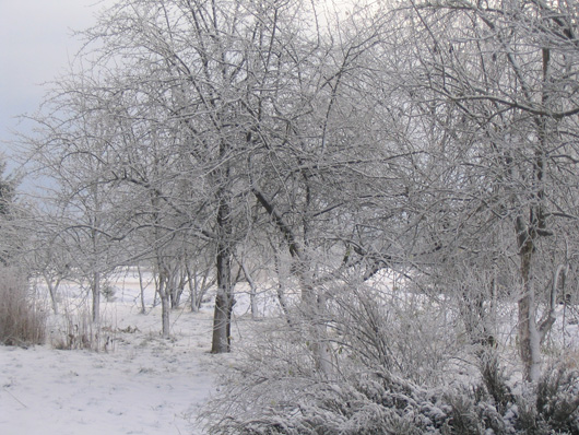 110_1017.jpg