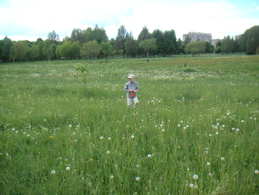 PICT0081~1.jpg