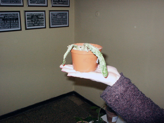 PICT2305.jpg