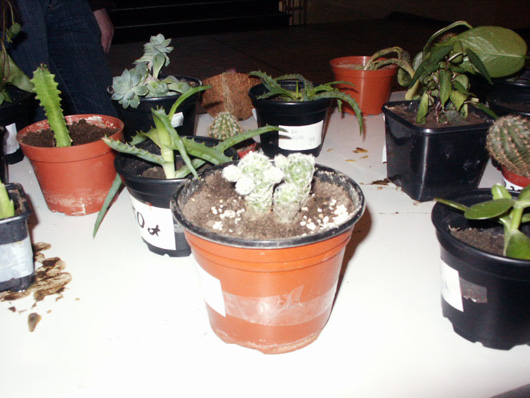 PICT2306.jpg