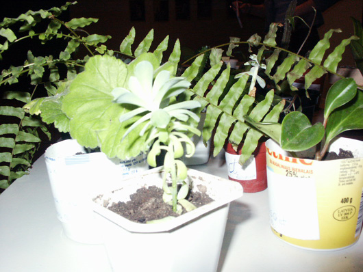 PICT2307.jpg