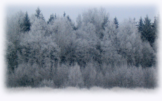 fotke_04.jpg