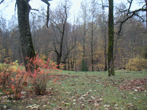 l1.jpg