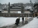 2005-2-17-Asta0001.jpg