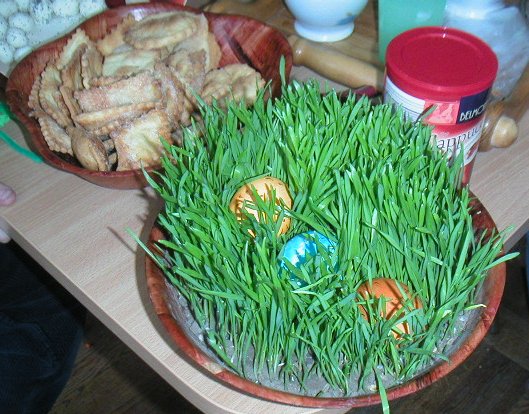 Pict0048~2.jpg