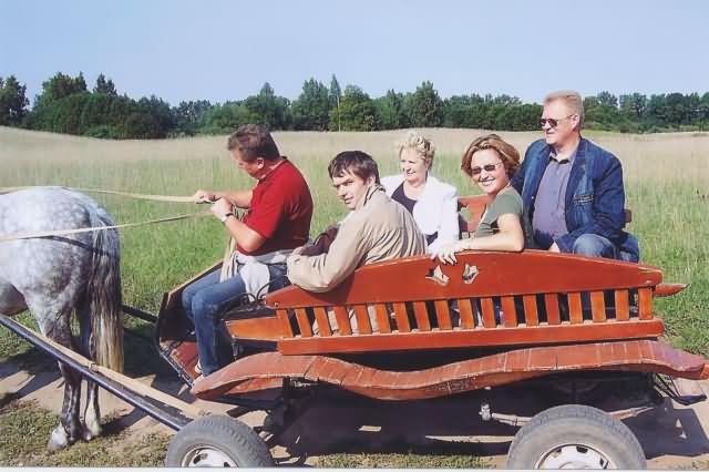 ScanImage11t.jpg