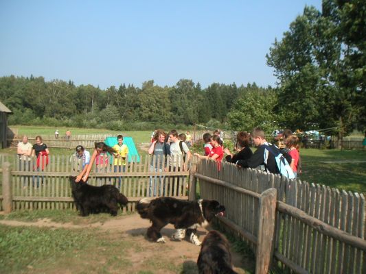 Pict0001~0.jpg