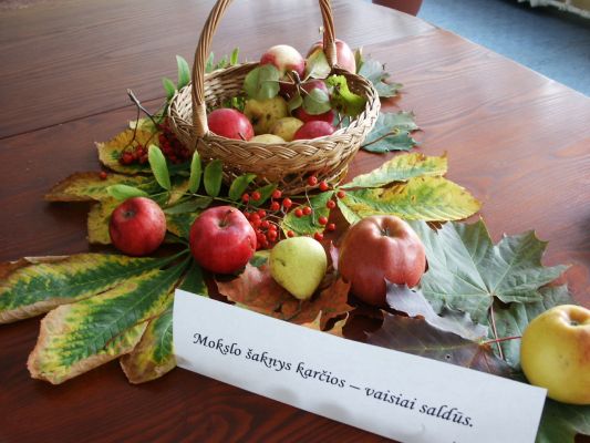 Pict2804.jpg