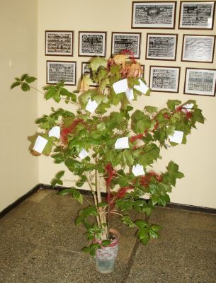 Pict2805.jpg