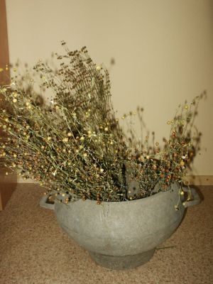 Pict3131.jpg