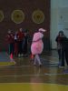 IMG_0068t.jpg