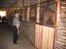 IMG_2437t.JPG