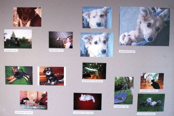 PICT0010~11.JPG
