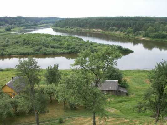 PICT0079~11.JPG
