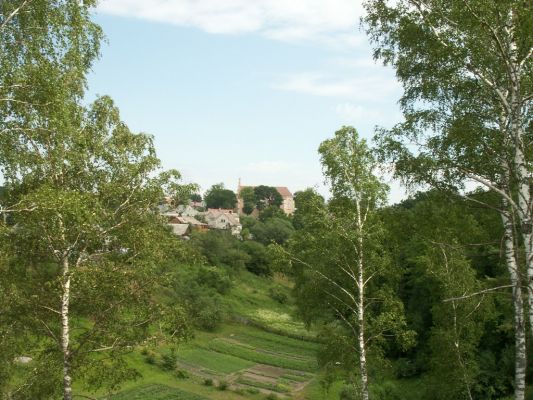 PICT0085~8.JPG