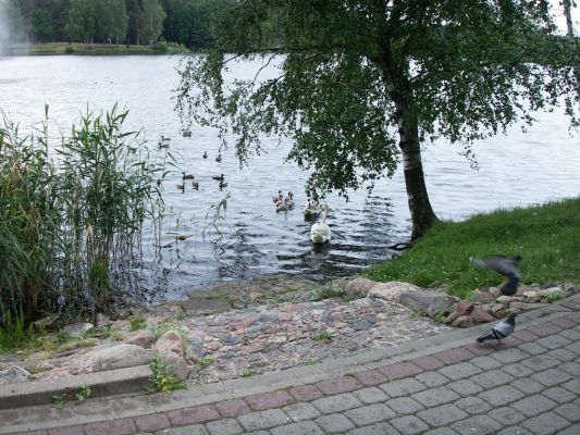 PICT0106~1.JPG