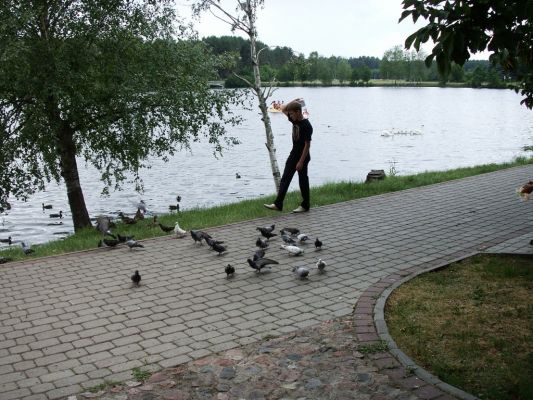 PICT0107~2.JPG