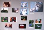 PICT0010~11.JPG