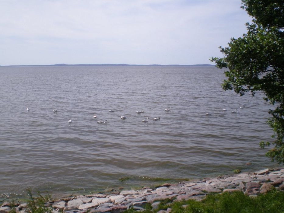 P5300067.JPG