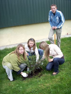 PICT0541.jpg