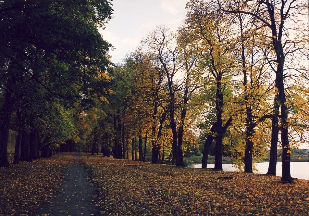parko_aleja.jpg