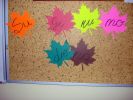 DSC00698.jpg