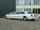 pask_skamb-018.jpg