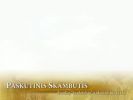 paskutinis_skamb_2008.flv
