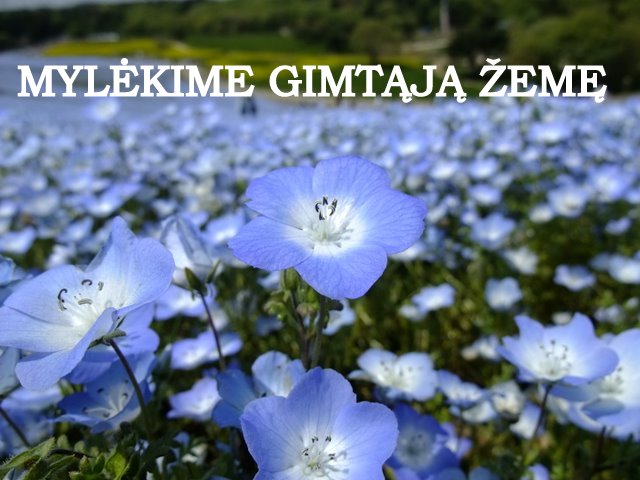 ZEME.jpg
