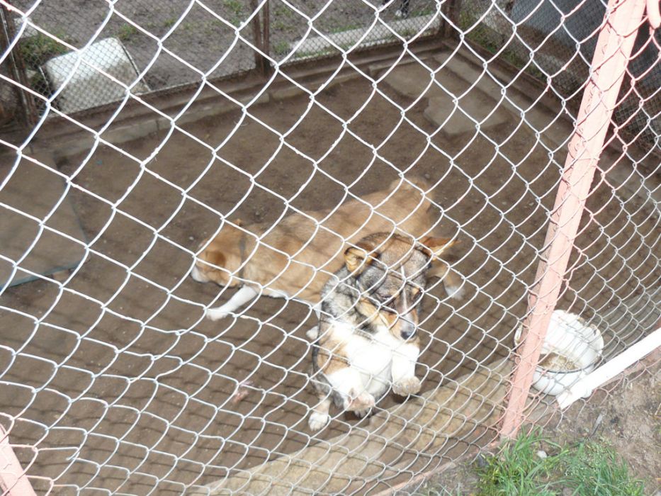 P1050048.jpg