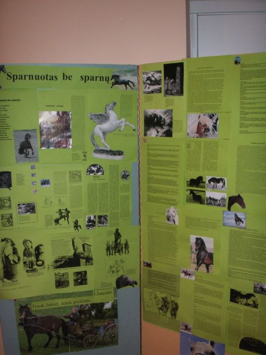 PICT0037~5.JPG