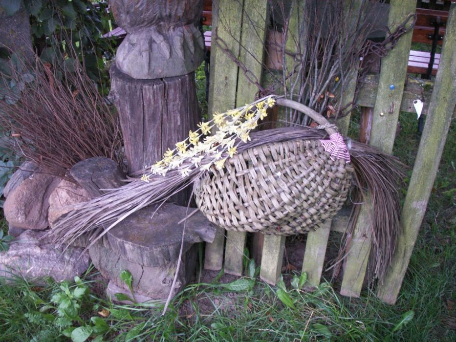 PICT0041.JPG