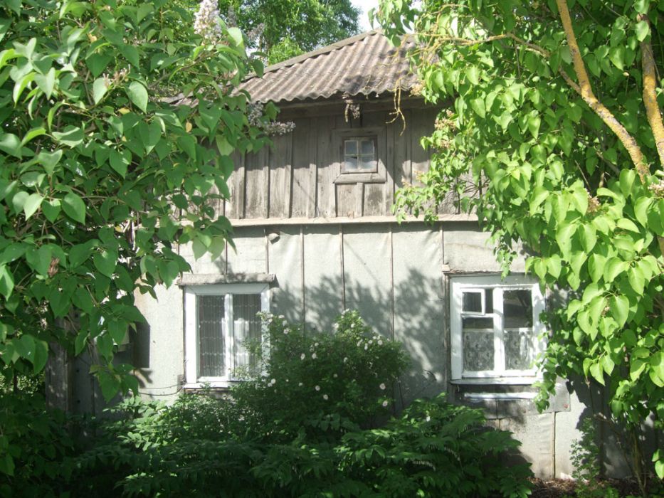 DSCF0671.jpg