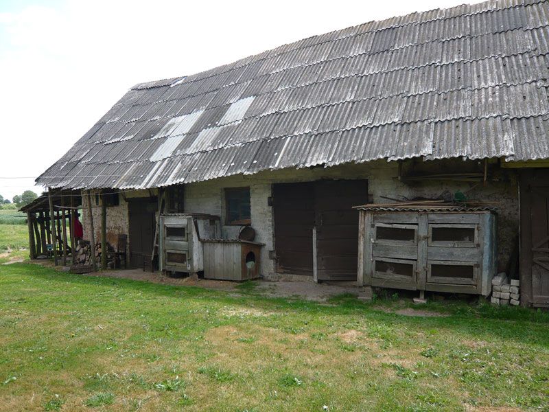 Picture-125.jpg