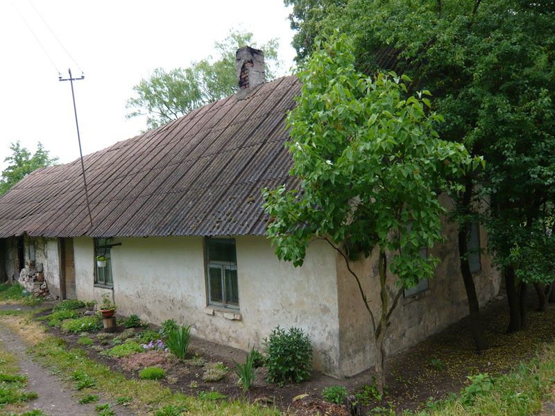 Picture-178.jpg