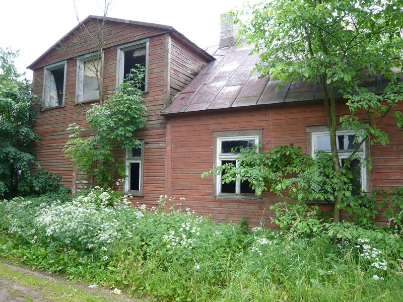 Picture-179.jpg