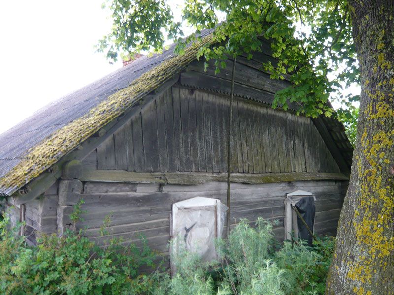 Picture-204.jpg