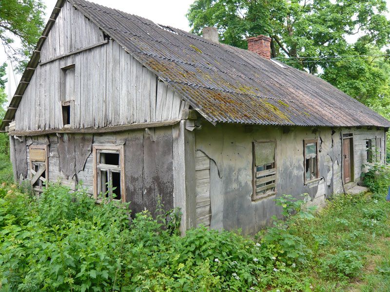 Picture-206.jpg