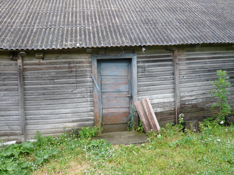 Picture-210.jpg