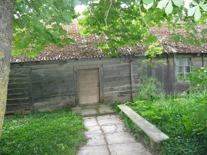 Picture-260.jpg