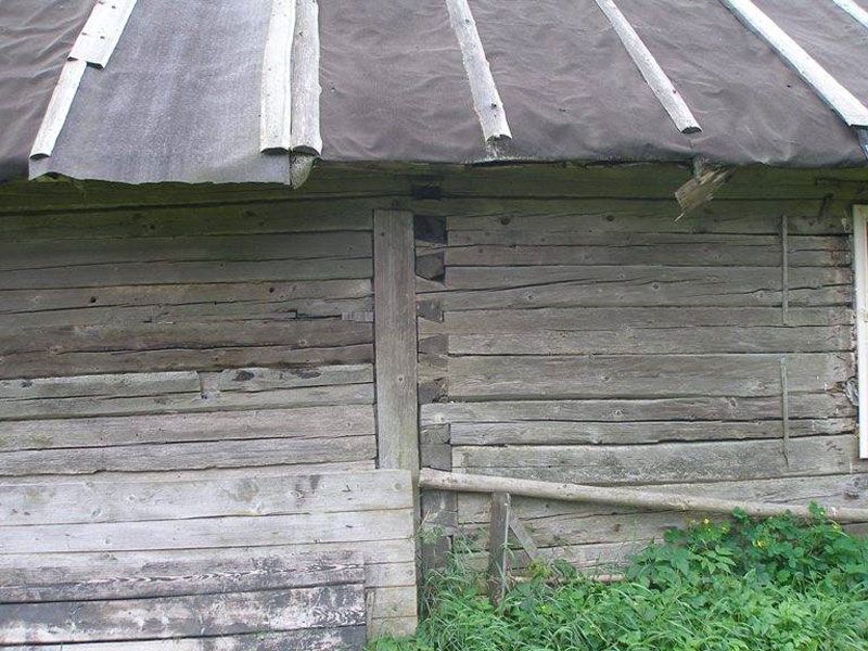 Picture14.jpg