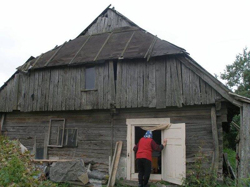 Picture15.jpg