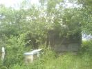 DSC00131.jpg