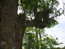 Picture-062.jpg