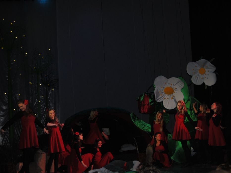 DSC_0618.JPG