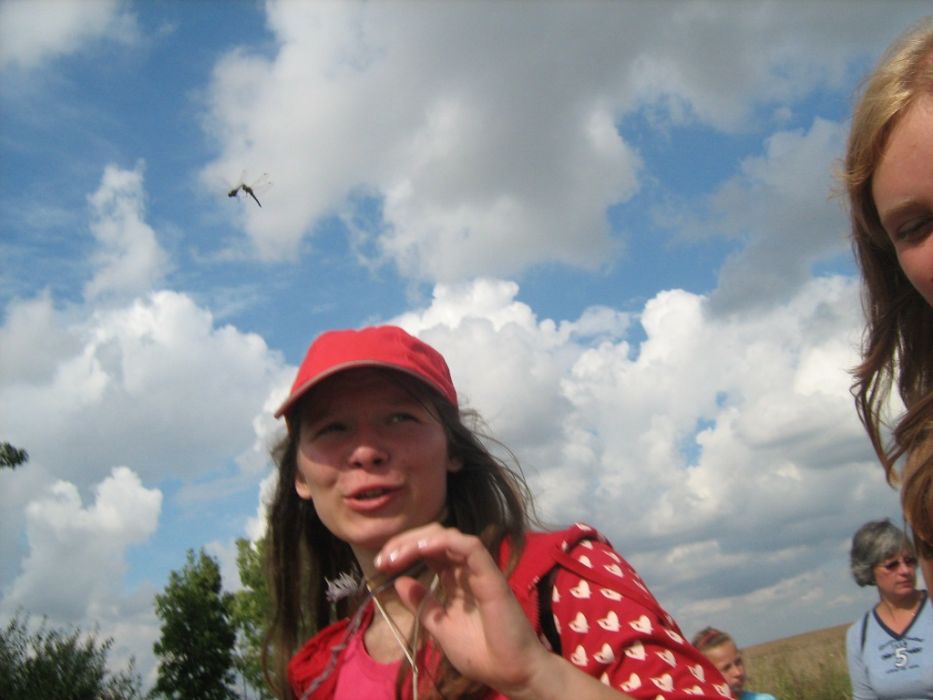 IMG_0707.JPG