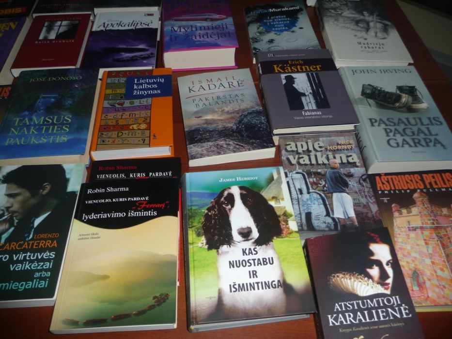 P1030168.JPG