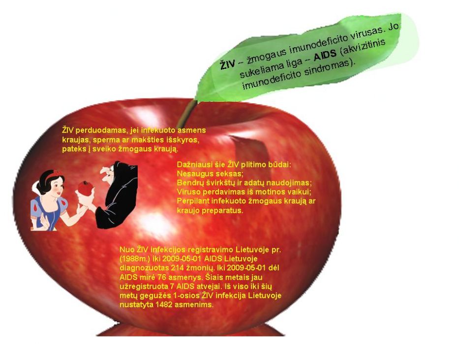 Slide3.JPG
