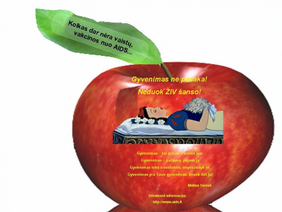 Slide4.JPG