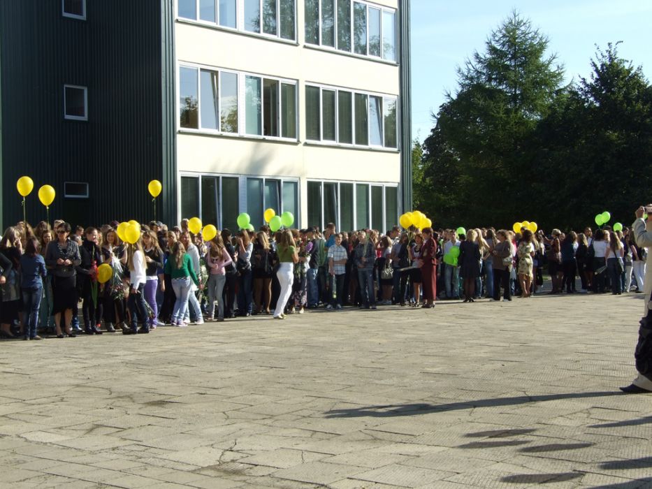 rugpirma_008.jpg